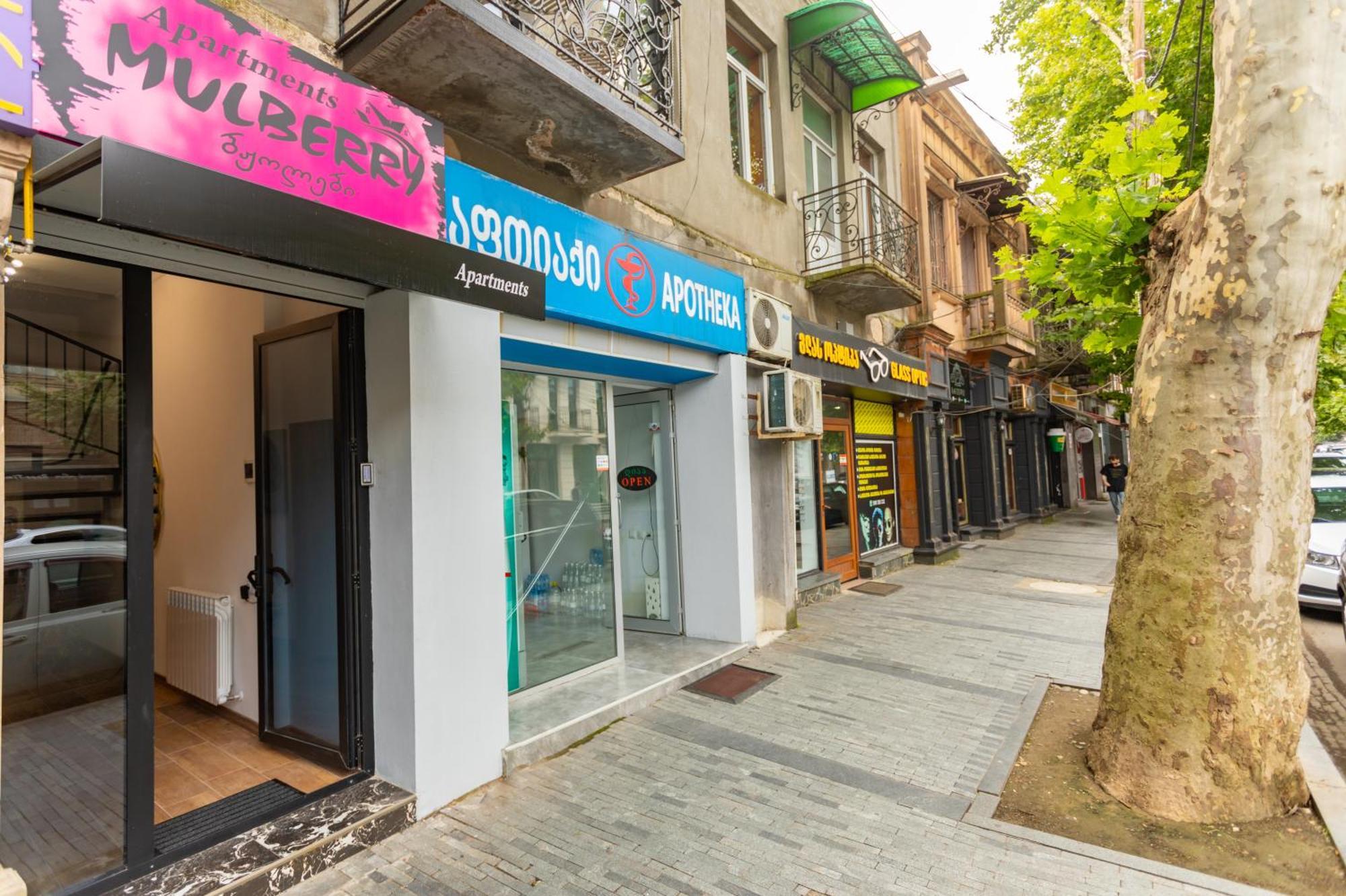 Apartamento Mulberry Ბჟოლები Kutaisi Exterior foto